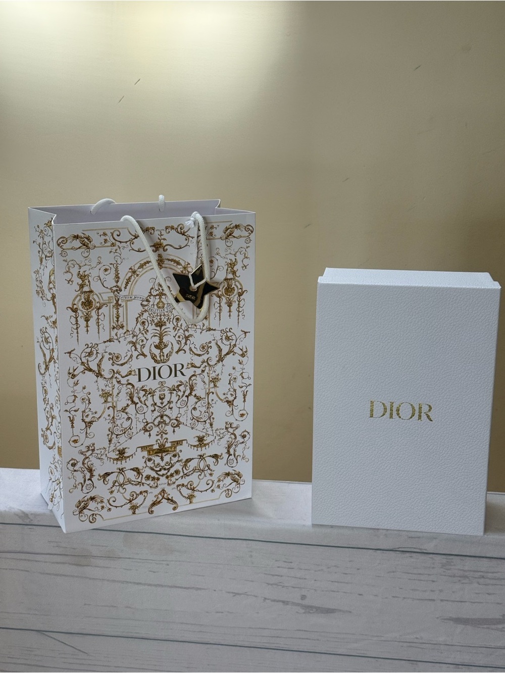 Dior White Empty Shoe Box and Shopping Bag
